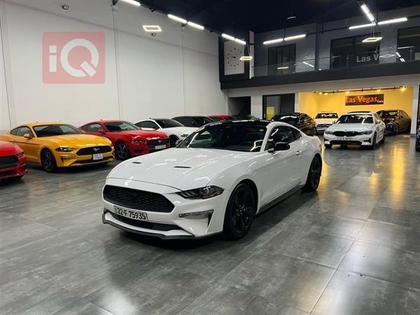 فۆرد مۆستانگ 2021  بۆ فرۆشتن لە عێراق - هەولێر